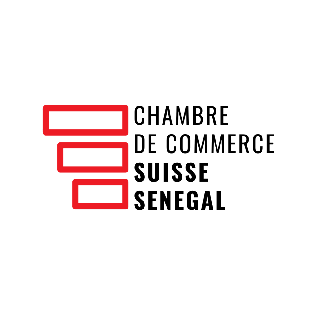 ccissn logo detoure.png