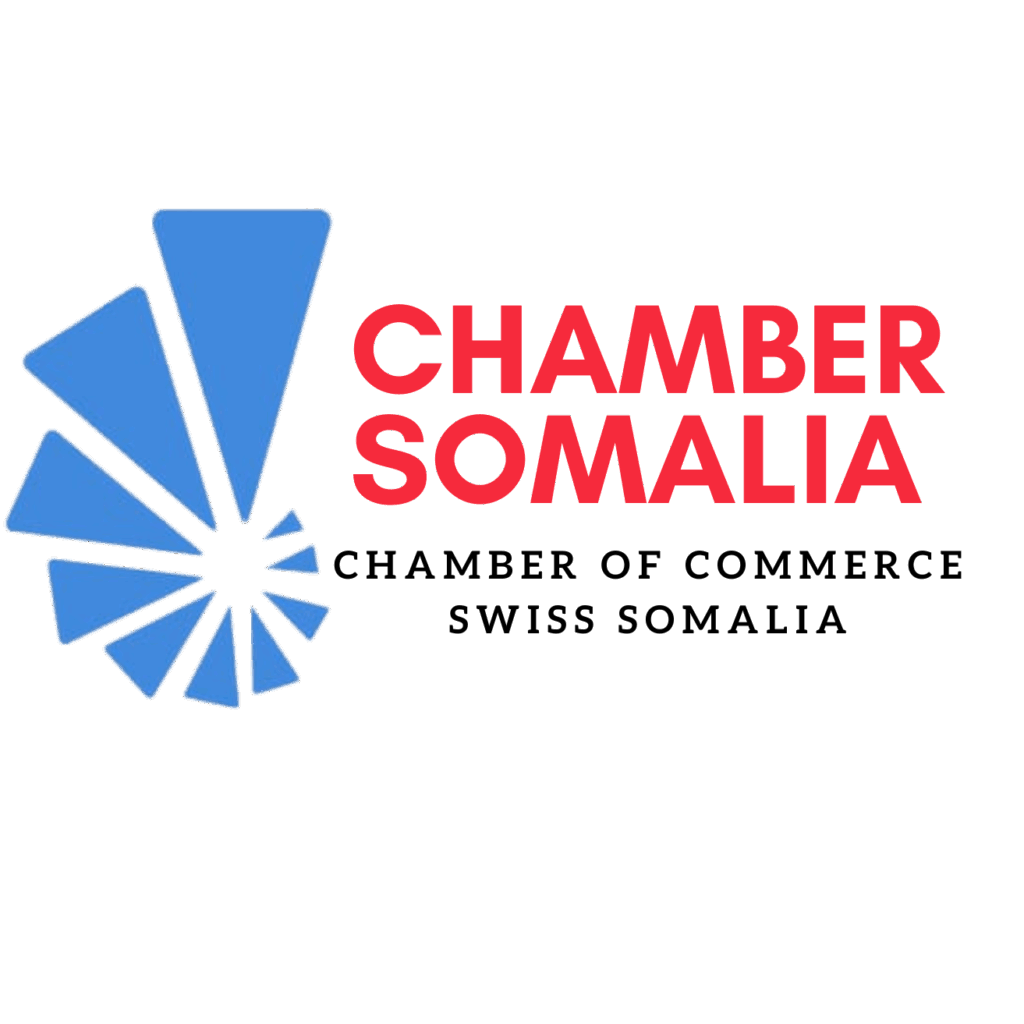 ccissomaliaa logo detoure.png